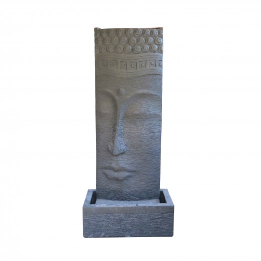 Fuente de la cara de Buda