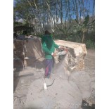 Bañera de mármol tallada